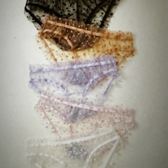 Brand New Plus 5-pack Heart Print Mesh Multicolored Panty Set (14) 1XL - Picture 5 of 5